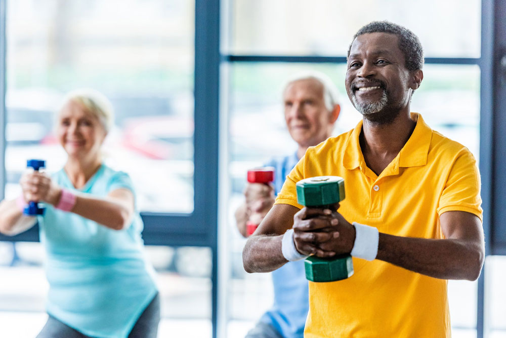 Fitness Program Creation